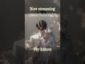 Now streaming：My kitten