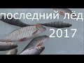 Последний лёд 2017. Ловим плотву и окуня на Яузском водохранилище