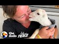 Tiny Earless Lamb Loves Running Around The House | The Dodo Little But Fierce