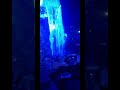 shadows of the sea #attraction #halloween #halloweenparade