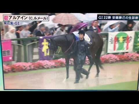 2017.10.22 第78回 菊花賞（G1）【アルアイン・パドック】