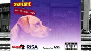 Right Direction By Skheshe