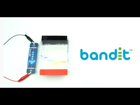 Bandit™ STEM Electrophoresis