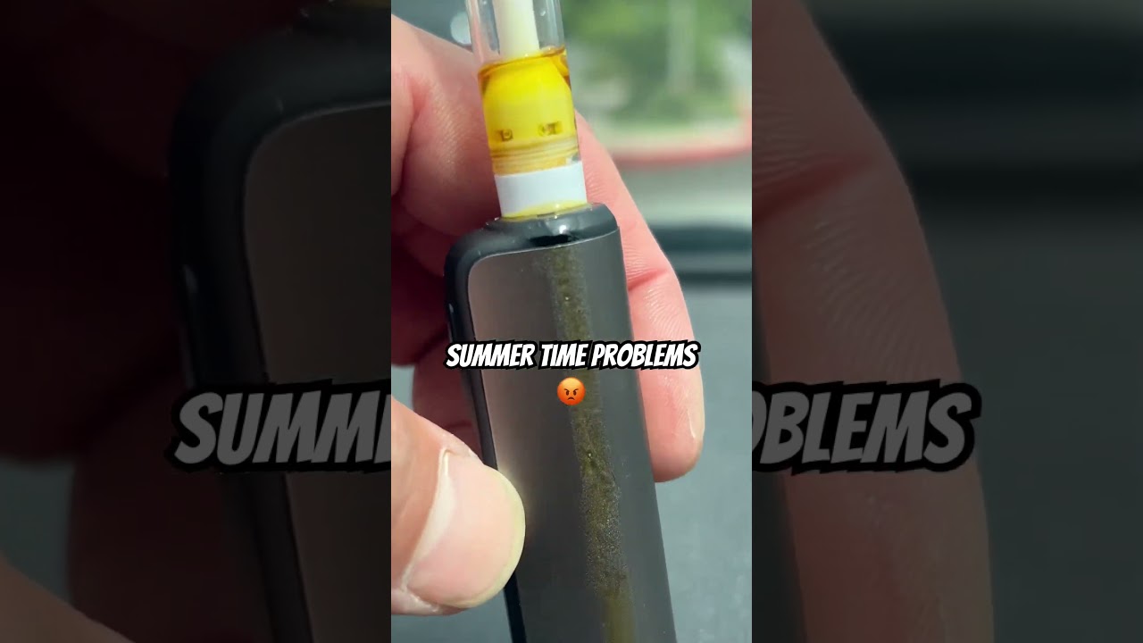 The Sun Ruined The Day 😂 