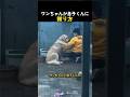 ワンちゃんが息子くんに謝り方
