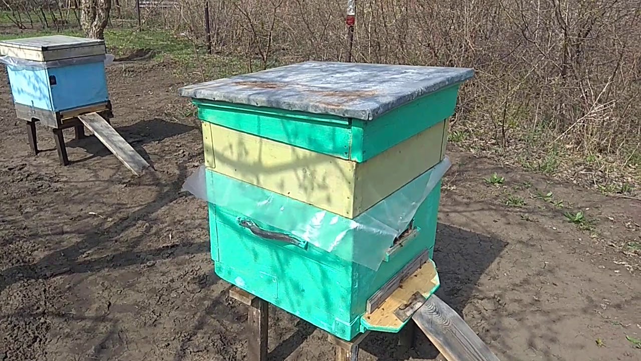 Переустановка ульев с пчёлами на новое место в пределах огорода . - YouTube
