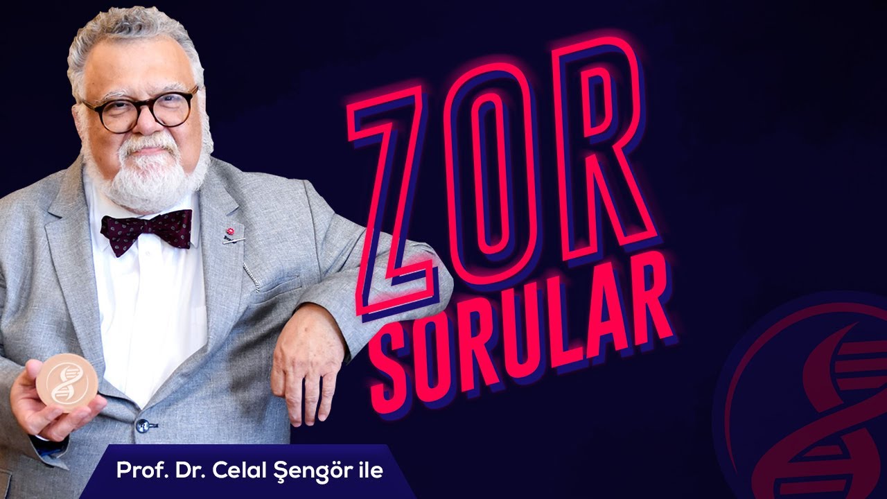 prof dr celal sengor zor sorular youtube