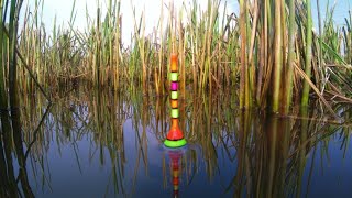 Download Lagu Strike bertubi\ MP3