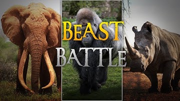 Beast Battle Simulator | Elephant vs Gorilla vs Rhino |