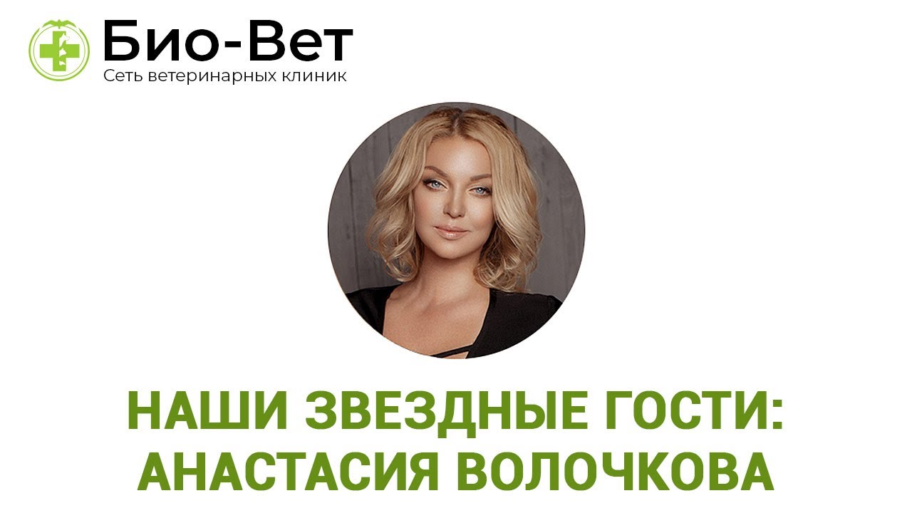 Наши звездные гости: Анастасия Волочкова. Ветеринарная клиника Био-Вет.