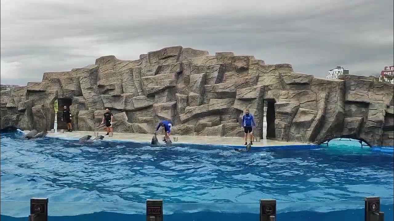 аквапарк в батуми
