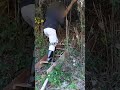 【DIY山開拓】2人だからできる！手分けしてやる！【同級生と秘密基地】