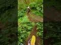Carson Brown sending it through the woods on a 1996 KTM 300 🌲💨 #2stroke #moto #mx