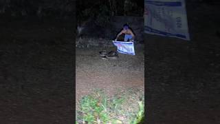 เมื่อสิ่งนี้เข้ามาเพื่อจะเขมือบไก่ พวกเขาจึงตัดสินใจทำอะไรบางอย่าง #wildlife #ular #buaya #python