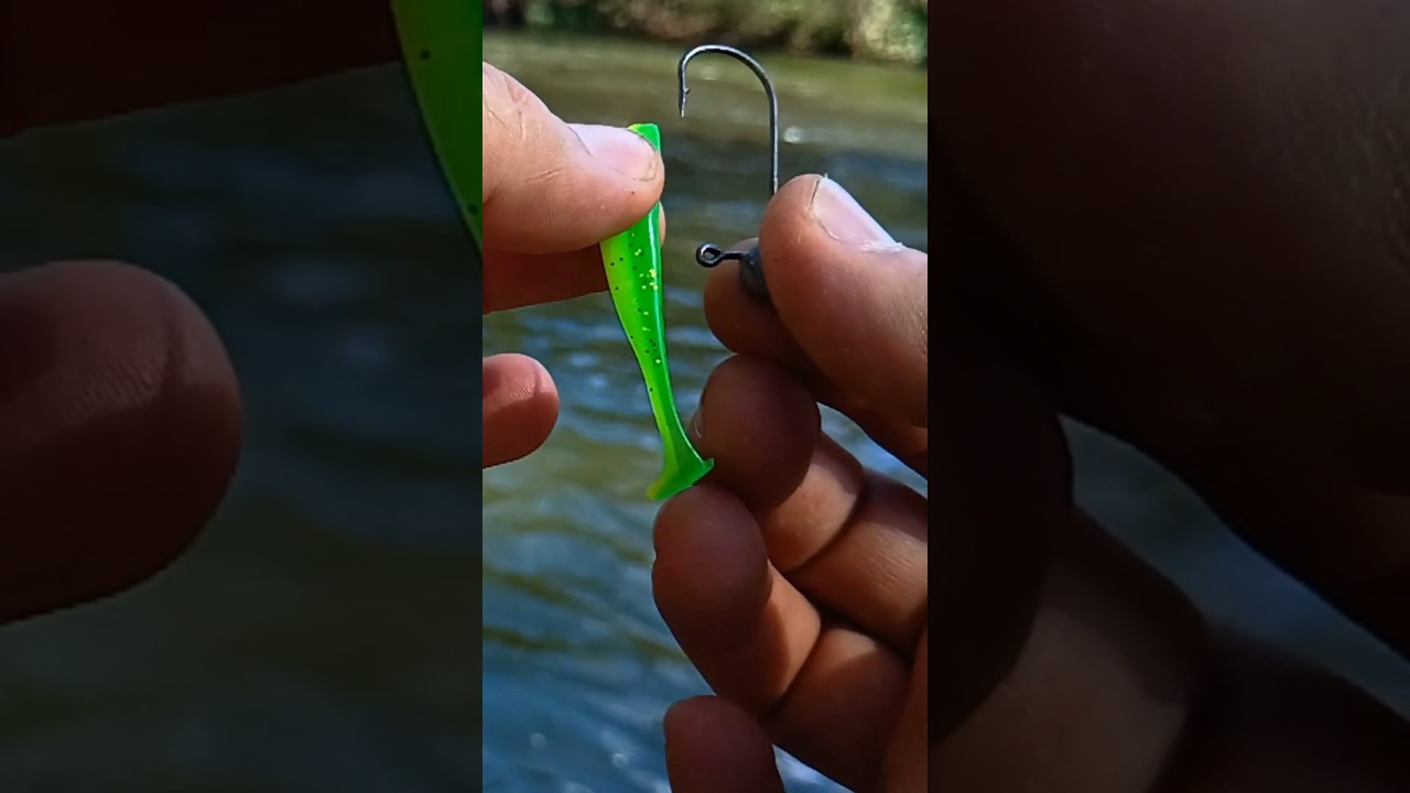 como colocar o shad no anzol jig head 