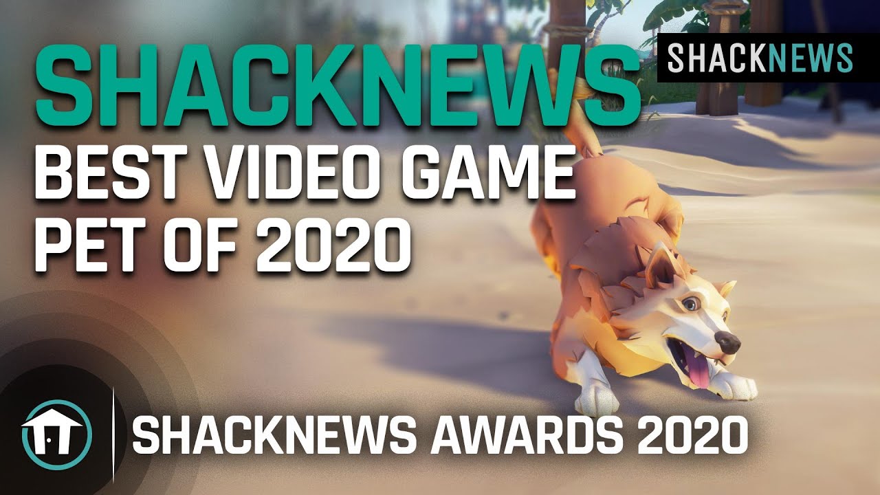 Shacknews Best Video Game Pet of 2020 - Sea of Thieves Cats & Dogs