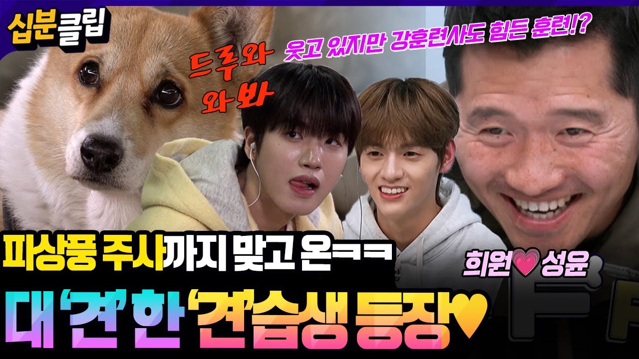 [#십분클립] 엔싸인 멤버 희원💗성윤이 견습생으로 등장!! 개훌륭 출연 위해 ‘이것’까지 하고 온 멤버들ㅋㅋ💉ㅣ KBS방송