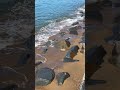 ONE MINUTE CALM