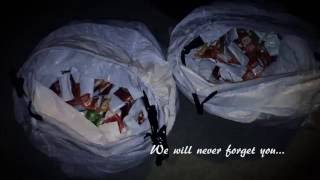 In Loving Memory...