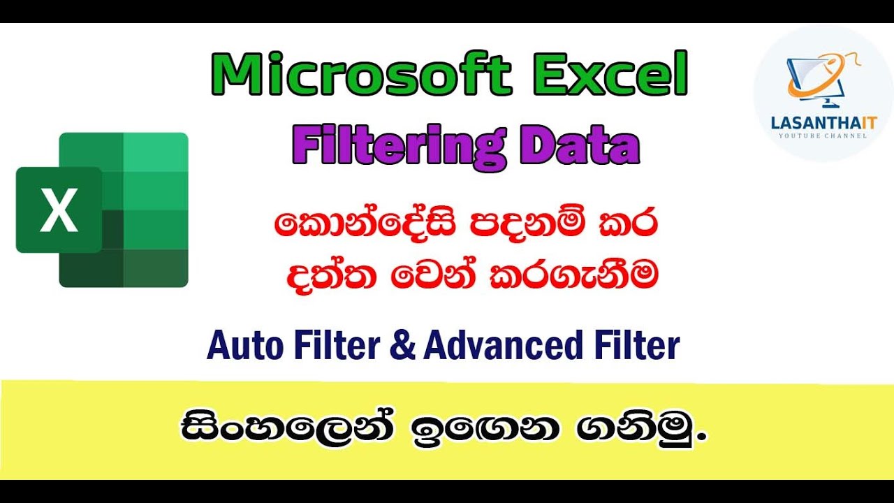 Microsoft Excel Filtering Data for beginner (Basic Sinhala Tutorial)
