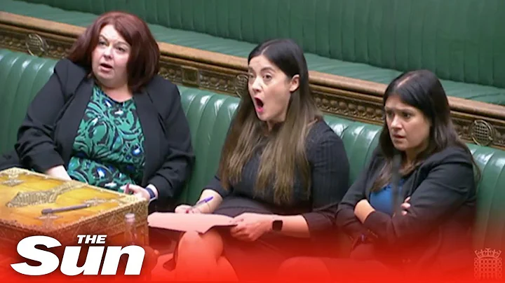 Conservative MP tells Labour MP to 'SHUT UP' befor...