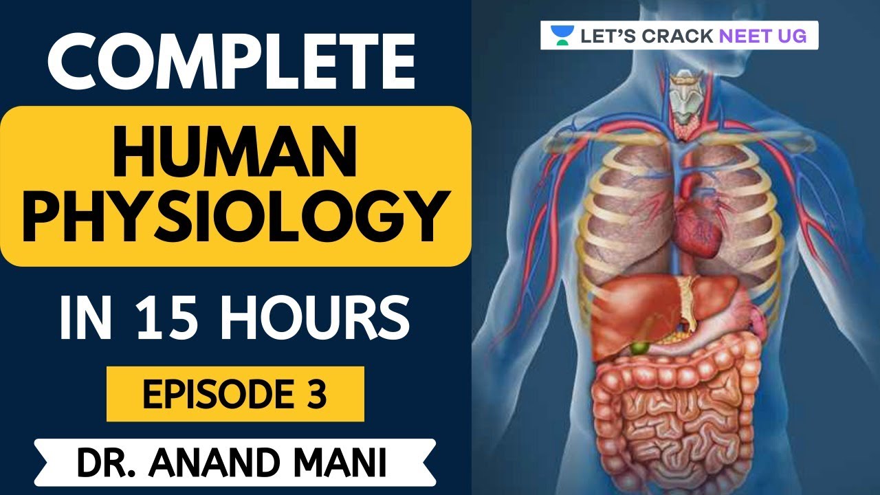 Complete Human Physiology in 15 Hours | Episode 3 | NEET Biology | NEET ...