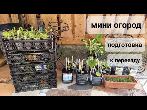 Мини огород/черенки. Подготовка