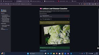 Lettuce Leaf Disease Classifier | Deep Learning Deployment