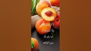 ايه رقم ٣٣ من سورة الواقعة.. بصوت الشيخ ابو بكر الشطرى