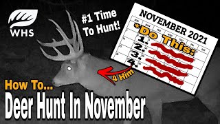 Top November Deer Hunting Tips