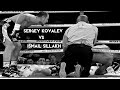 Sergey Kovalev vs Ismail Sillakh | November 2013