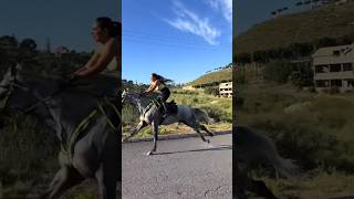 Sultan the road speed star