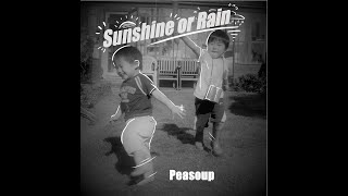 Sunshine or Rain