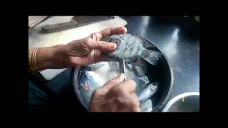 Karimeen prayi fry puzhameen varuthathu malayalam mallu viral hot troll tiktok screenshot 4