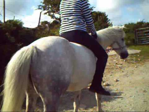 riding sherry to the field bareback