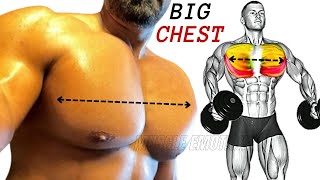 5  BEST CHEST WORKOUT AT GYM / Musculation poitrine .