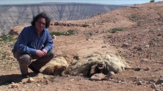 Voyage en Jordanie 1/2