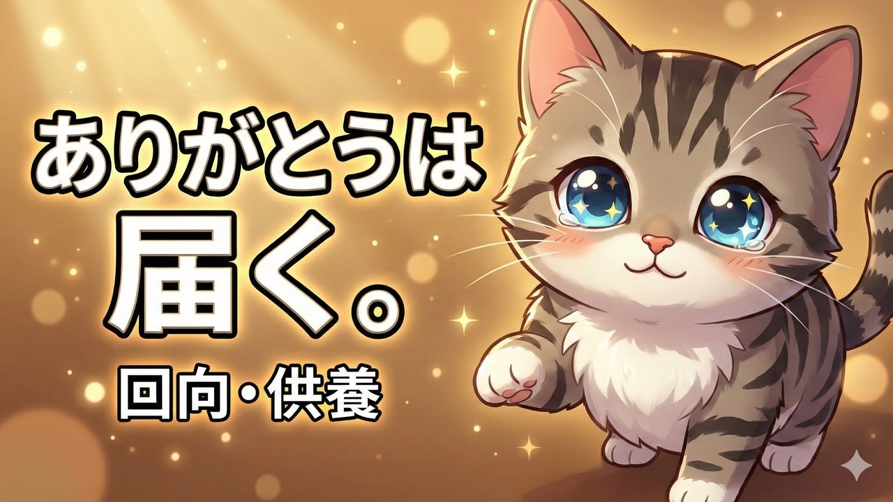 愛猫を亡くしたあなたへ。回向・供養の方法と生まれ変わりについて。（ペットロス）