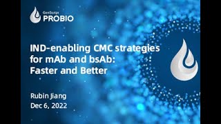 IND enabling CMC Strategies for Bispecific Antibodies
