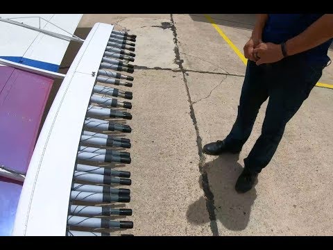 Video: Er Hvide Flyspor Ufarlige? Hvad Er 