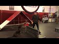 Sit Means Sit Franchise trainer’s school