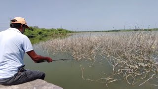 : Amazing fishing ||  catching big indian rupchand(Redbilled) fishes