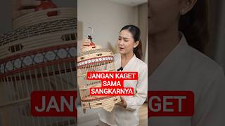 #sangkarburung #fypシ