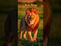 world dangerous animal in jungle 🦁👑🐯