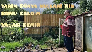Yarim Dünya Kuşlari - Yaşar Demi̇r