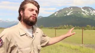 The Bison Project - Alaska Wildlife Conservation Center