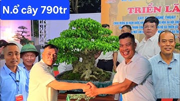 Bất ngờ N.ổ cây 790tr làm rung chuyển Đông Anh !..