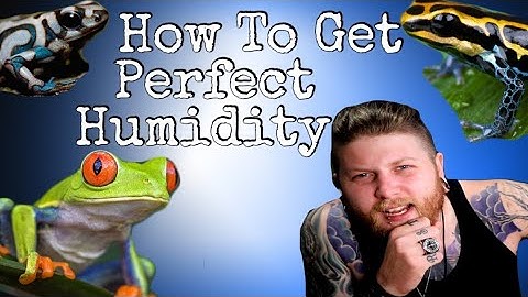 Top 5 Ways To Get PERFECT Humidity In Your Enclosure!
