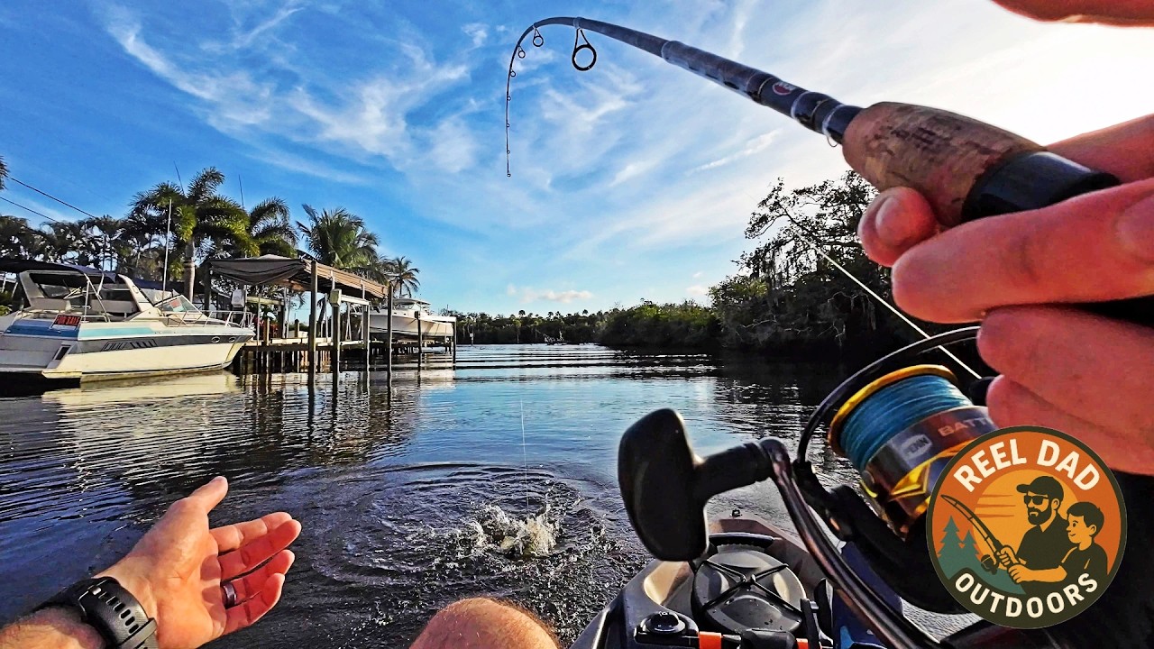 Jack Crevalle Frenzy! Kayak Fishing the St. Lucie River