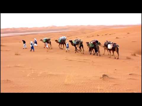 Video: Nar - kameel voor man en woestijn